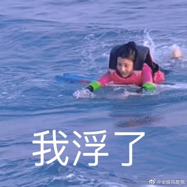捣蛋猪HD8.0