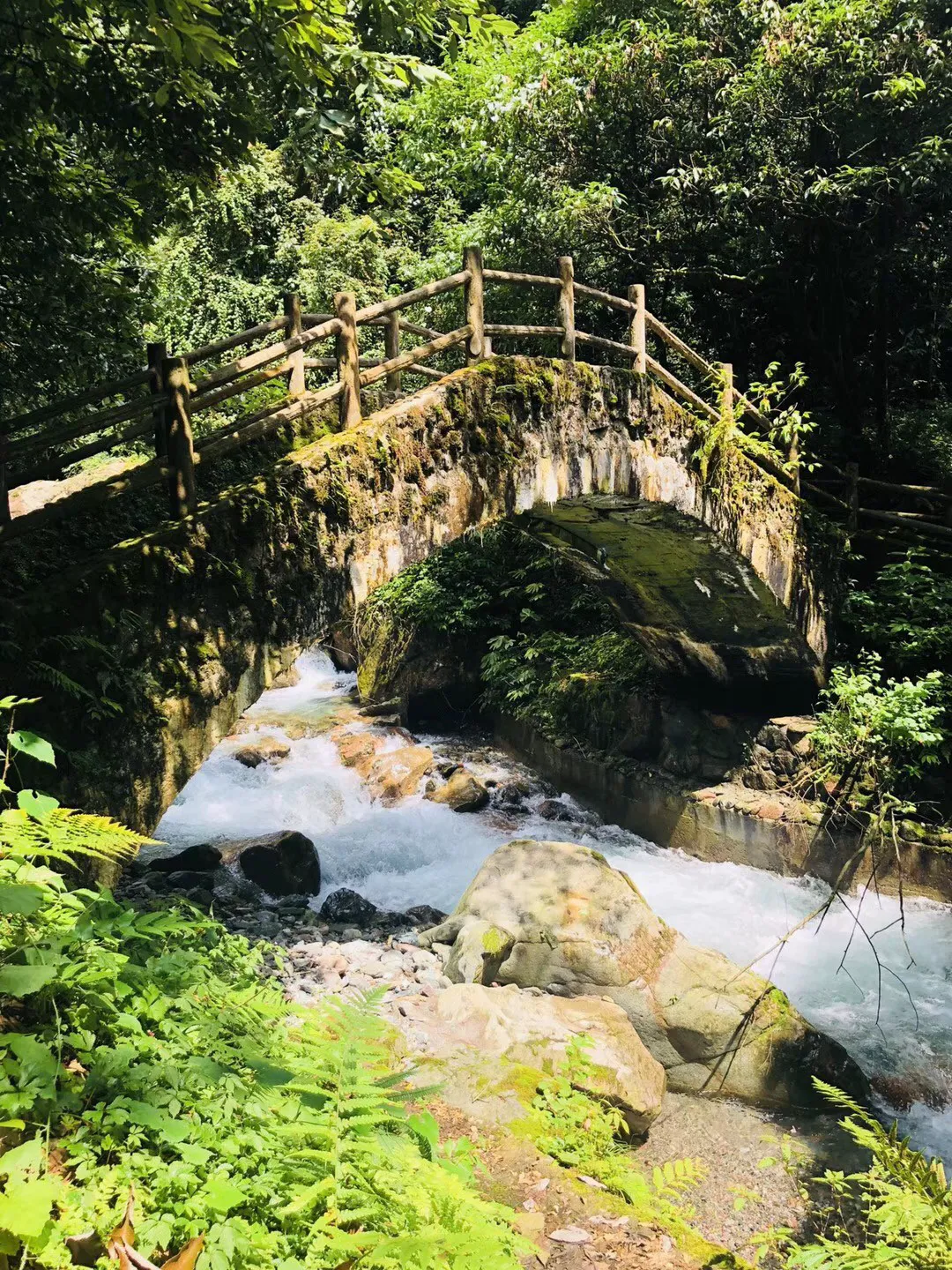《雾锁王国》顶住幻兽帕鲁压力,爆火steam!